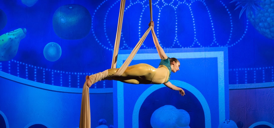 Aerial Silks at DanceWorks Performing Arts