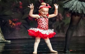 Fairy Tale Ballet at DanceWorks Performing Arts